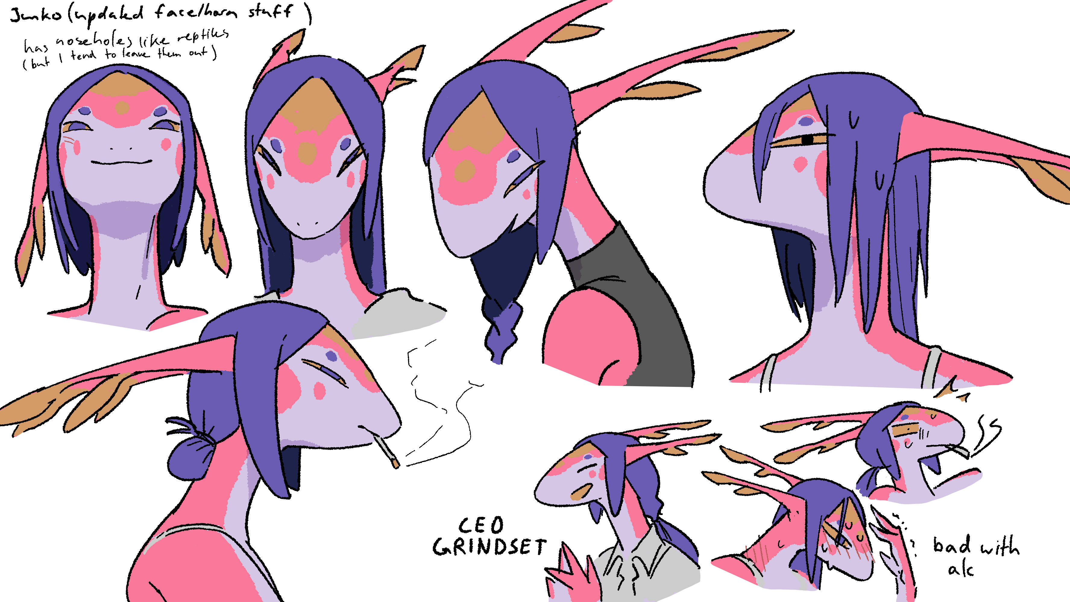 Junko refsheet expressions