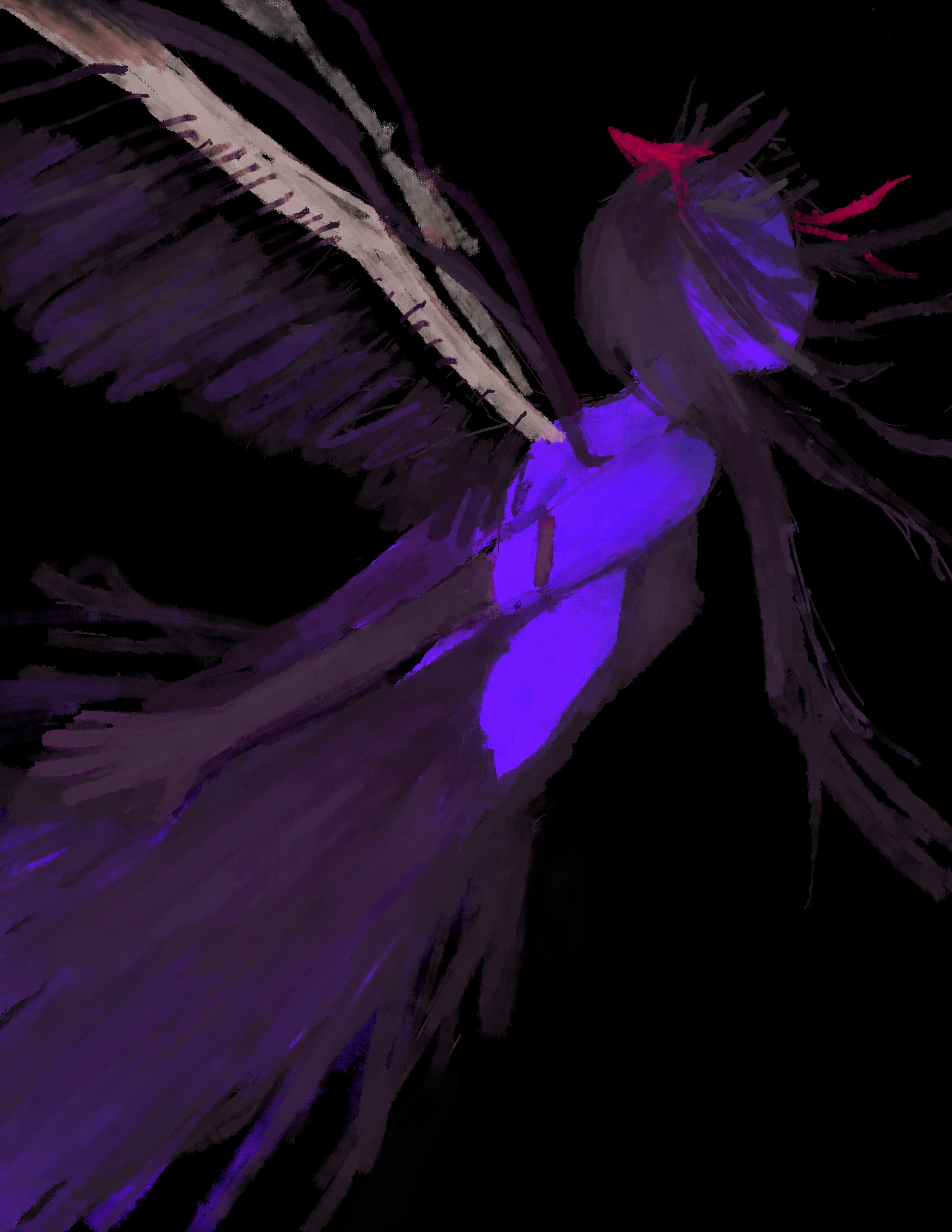 transgression (homura)